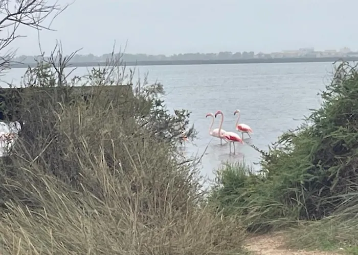 Po - Design Et Confort - 3 Ch, 2 Sdb, Proche Plages, Gares Et Aeroport אתר קמפינג לאט