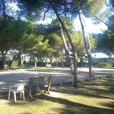 Camping Vue Sur Lac, 40 M2, 3 Ch, 2 Sdb Pour Votre Confort